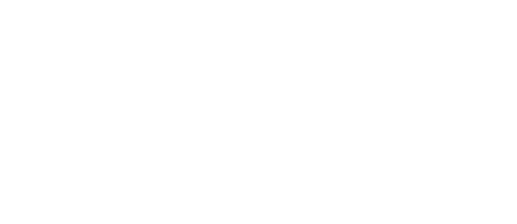 Etix logo all white